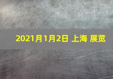 2021月1月2日 上海 展览